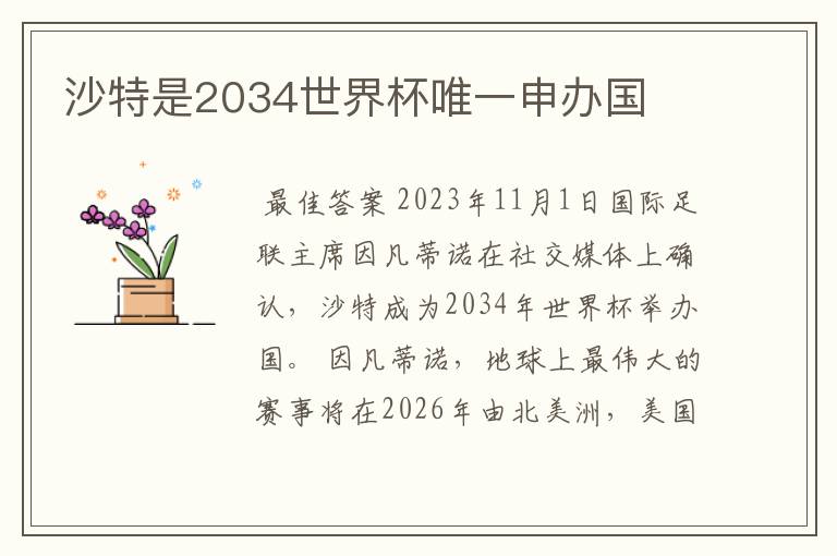 沙特是2034世界杯唯一申办国