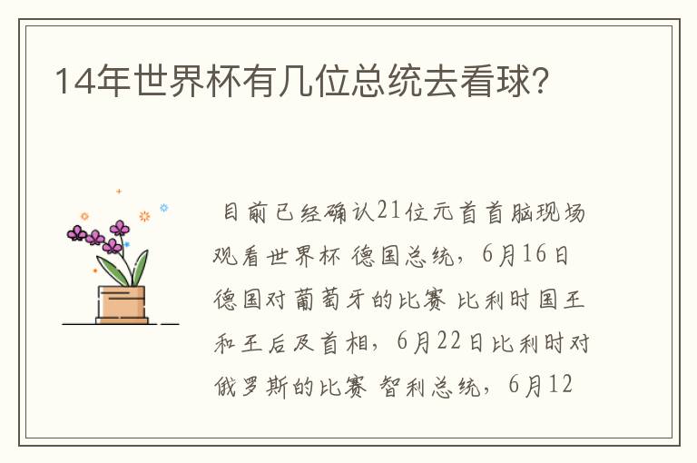 14年世界杯有几位总统去看球？