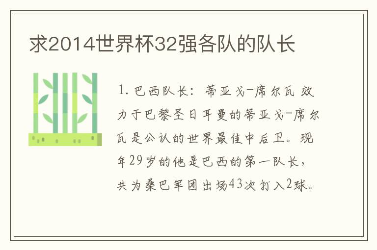 求2014世界杯32强各队的队长