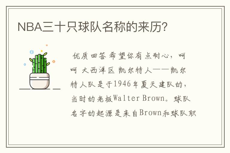 NBA三十只球队名称的来历?