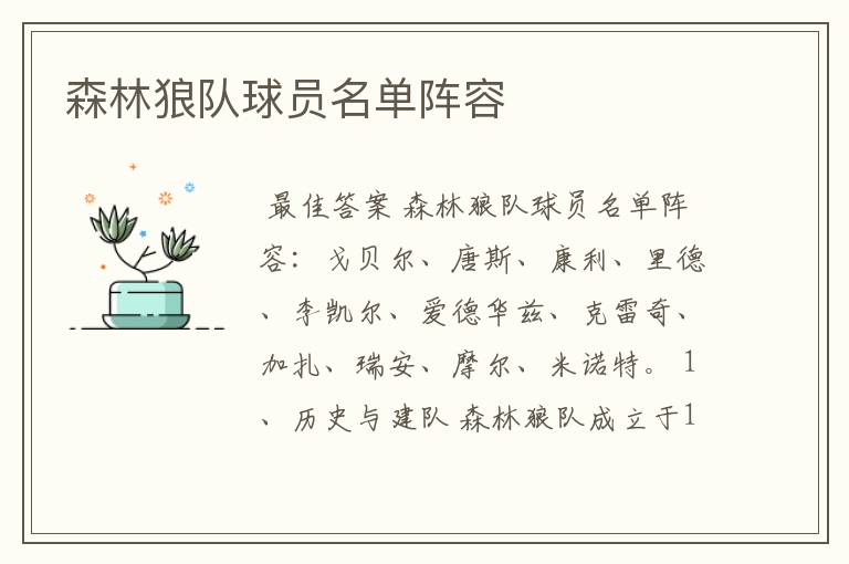 森林狼队球员名单阵容