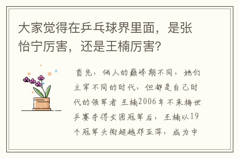 大家觉得在乒乓球界里面,是张怡宁厉害,还是王楠厉害?