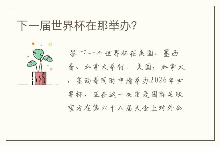 下一届世界杯在那举办?