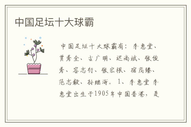 中国足坛十大球霸