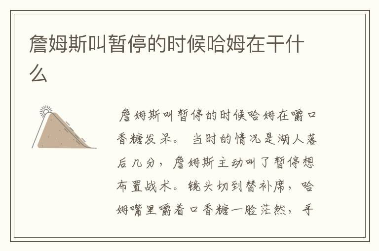 詹姆斯叫暂停的时候哈姆在干什么