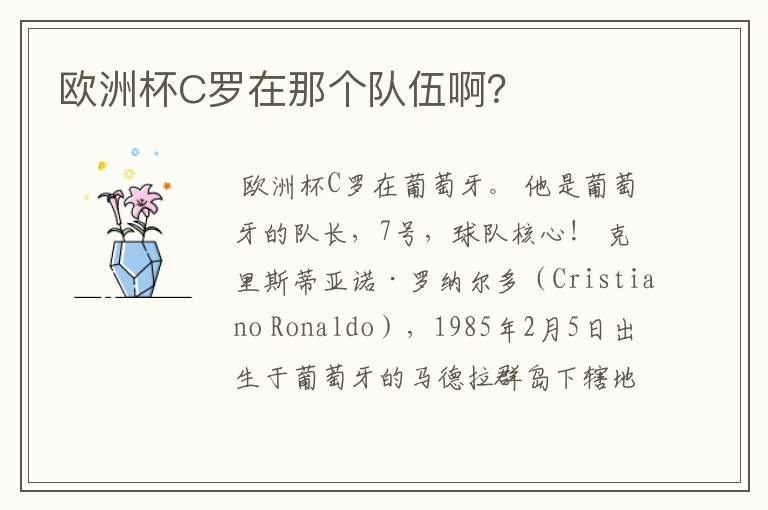 欧洲杯C罗在那个队伍啊？