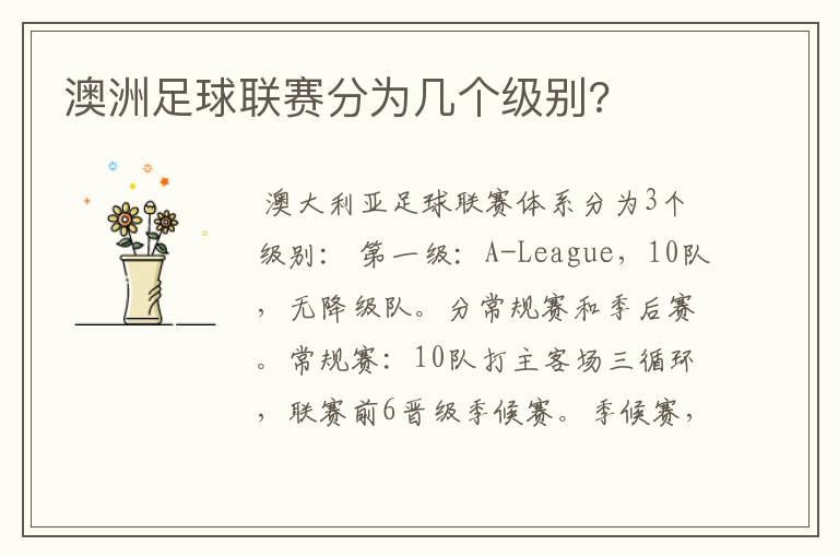 澳洲足球联赛分为几个级别?
