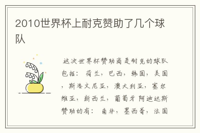 2010世界杯上耐克赞助了几个球队