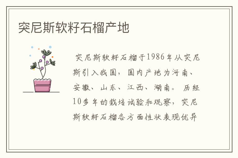 突尼斯软籽石榴产地