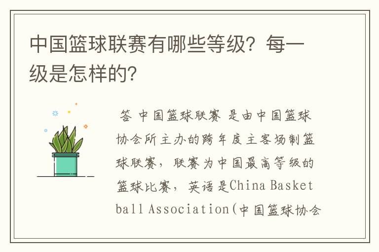 中国篮球联赛有哪些等级?每一级是怎样的?