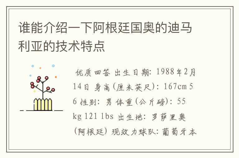 谁能介绍一下阿根廷国奥的迪马利亚的技术特点