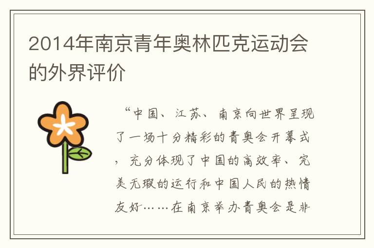 2014年南京青年奥林匹克运动会的外界评价