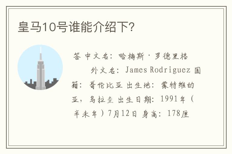 皇马10号谁能介绍下？