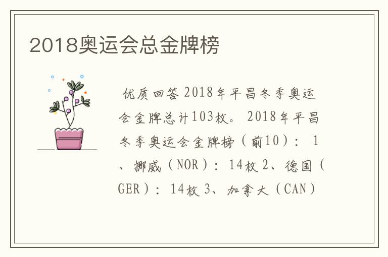 2018奥运会总金牌榜