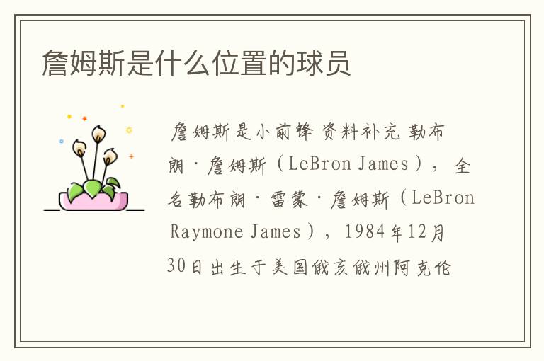 詹姆斯是什么位置的球员