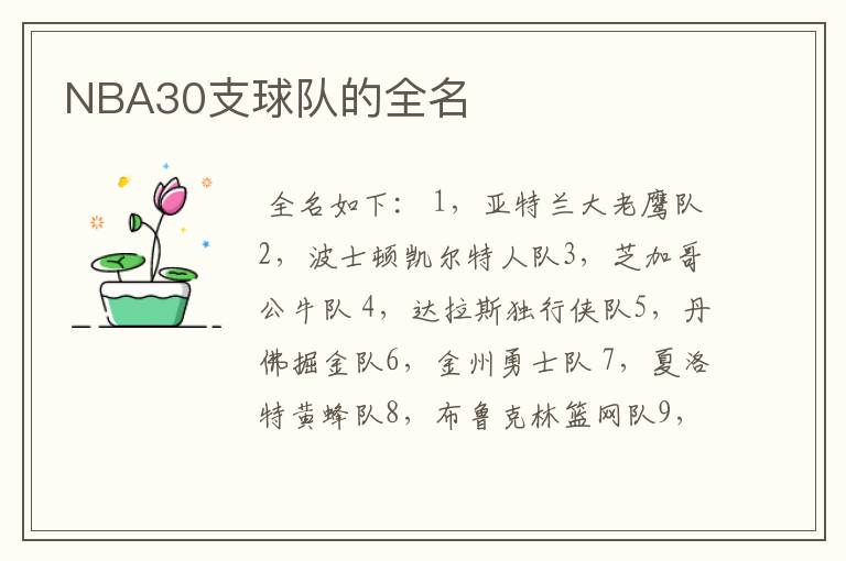 NBA30支球队的全名