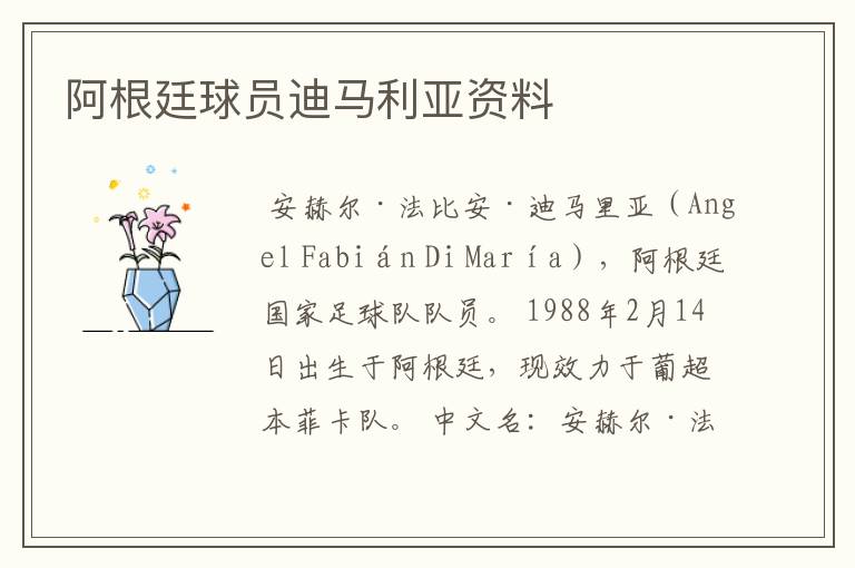 阿根廷球员迪马利亚资料