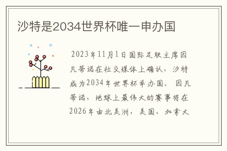 沙特是2034世界杯唯一申办国