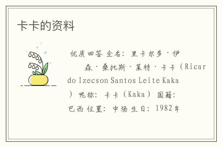 卡卡的资料