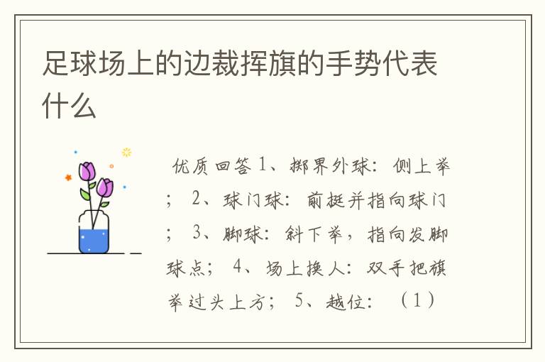 足球场上的边裁挥旗的手势代表什么