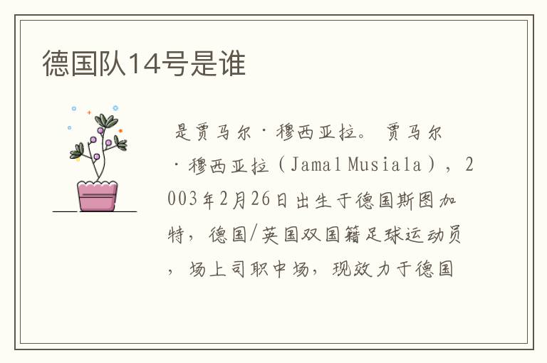 德国队14号是谁