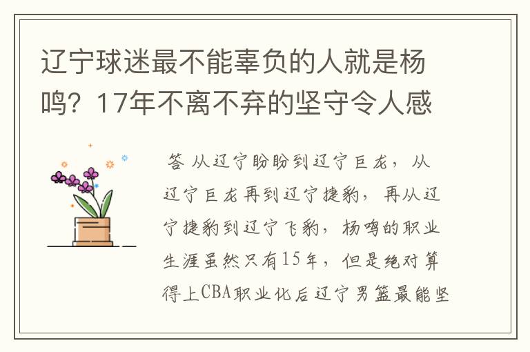 辽宁球迷最不能辜负的人就是杨鸣?17年不离不弃的坚守令人感动