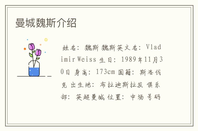 曼城魏斯介绍