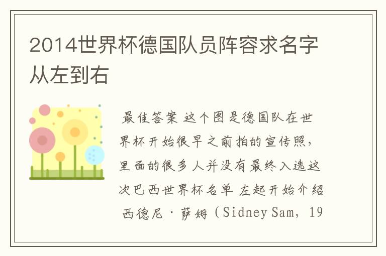 2014世界杯德国队员阵容求名字从左到右