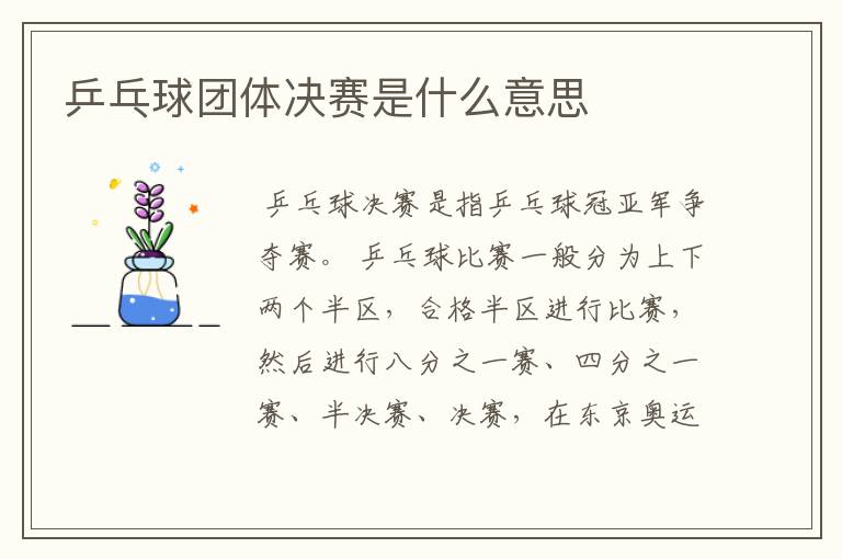 乒乓球团体决赛是什么意思