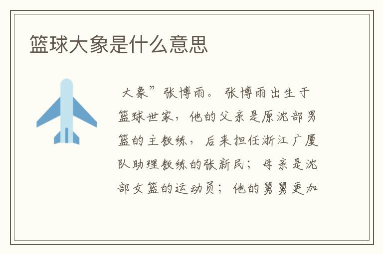 篮球大象是什么意思
