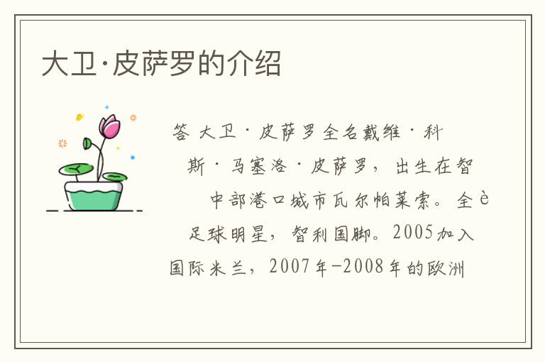 大卫·皮萨罗的介绍