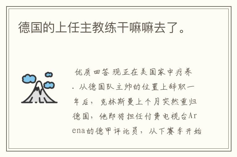 德国的上任主教练干嘛嘛去了。