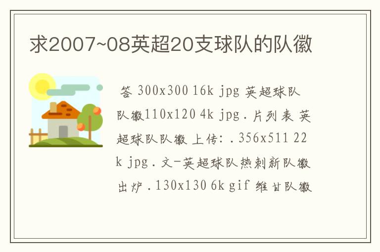 求2007~08英超20支球队的队徽