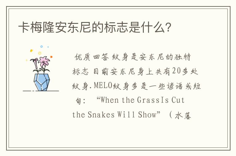 卡梅隆安东尼的标志是什么？