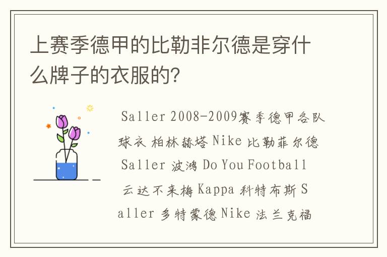 上赛季德甲的比勒非尔德是穿什么牌子的衣服的？