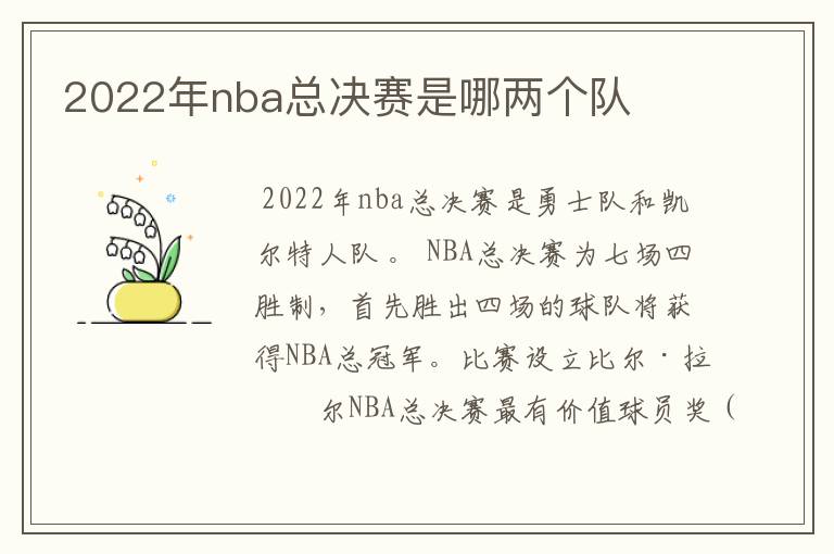 2022年nba总决赛是哪两个队
