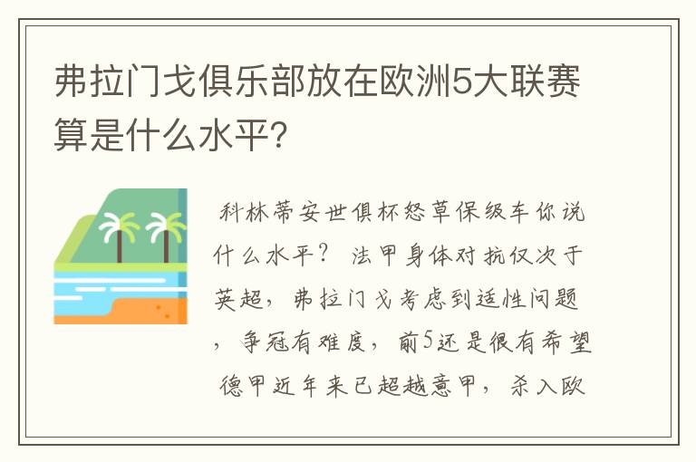 弗拉门戈俱乐部放在欧洲5大联赛算是什么水平？
