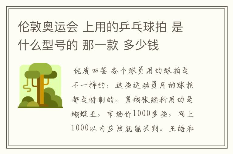 伦敦奥运会 上用的乒乓球拍 是什么型号的 那一款 多少钱