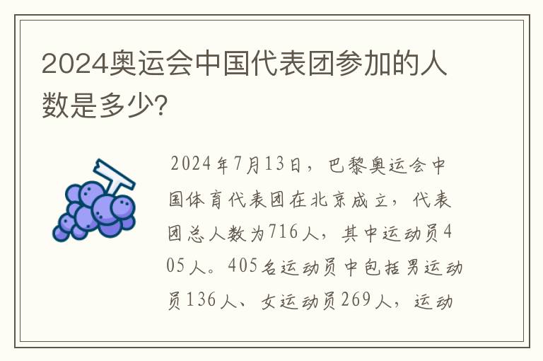 2024奥运会中国代表团参加的人数是多少？