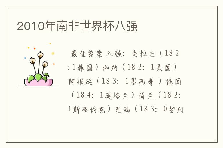 2010年南非世界杯八强