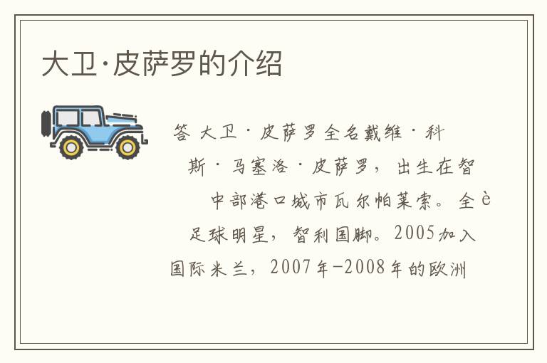 大卫·皮萨罗的介绍
