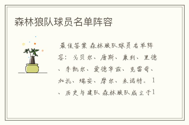 森林狼队球员名单阵容
