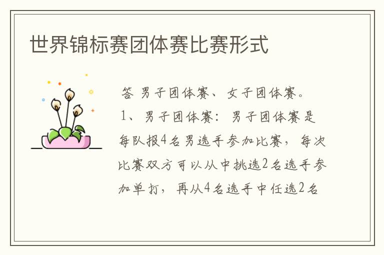世界锦标赛团体赛比赛形式