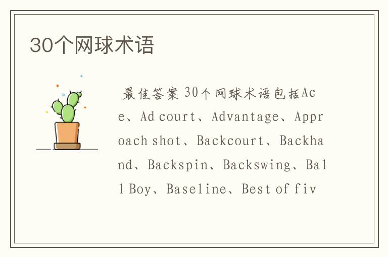 30个网球术语