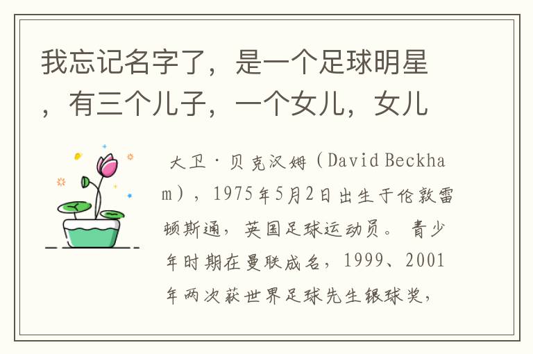 我忘记名字了,是一个足球明星,有三个儿子,一个女儿,女儿还特别小,外界称足球明星的老婆是时尚辣妈。