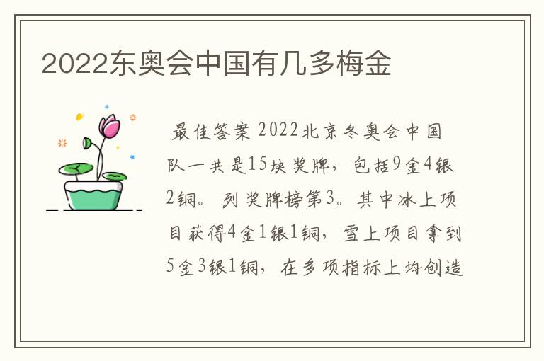 2022东奥会中国有几多梅金