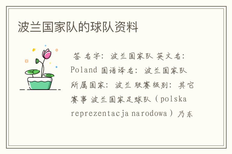 波兰国家队的球队资料