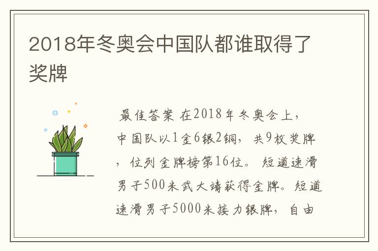 2018年冬奥会中国队都谁取得了奖牌