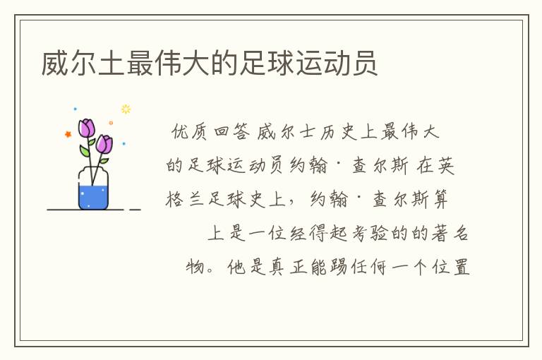 威尔土最伟大的足球运动员