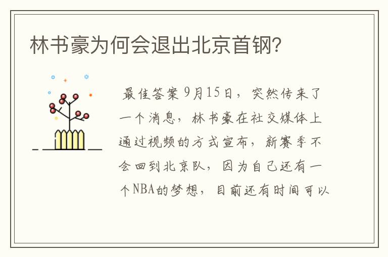 林书豪为何会退出北京首钢?